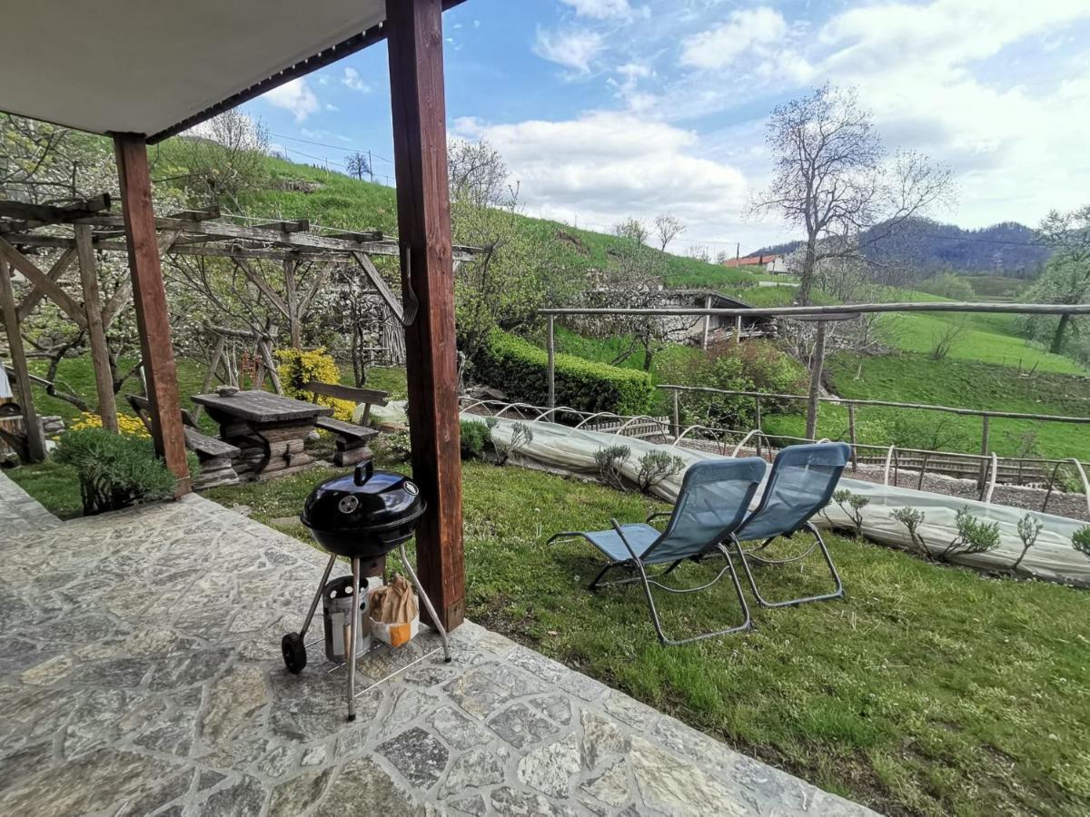 Apartment Rakuscek كوباريد المظهر الخارجي الصورة