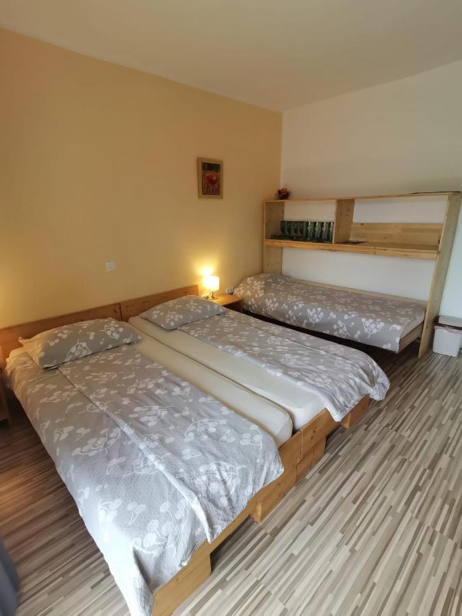 Apartment Rakuscek كوباريد المظهر الخارجي الصورة